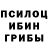 Псилоцибиновые грибы мухоморы Martin Salvatore