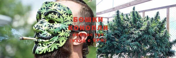 крисы Сафоново