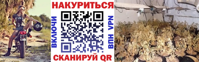 blacksprut зеркало  Заволжск  Конопля марихуана  наркотики 